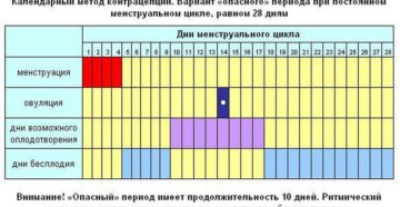 Как посчитать безопасные дни чтобы не забеременеть онлайн калькулятор