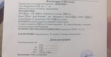Узи на 38 неделе беременности норма