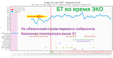 Базальная температура после переноса эмбриона после эко