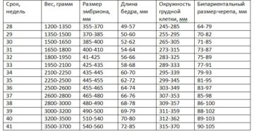 Вес плода на 32 неделе беременности таблица