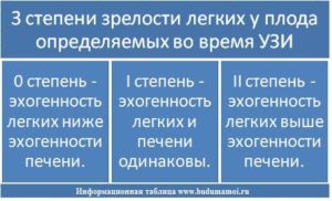 Степень зрелости легких плода по неделям норма