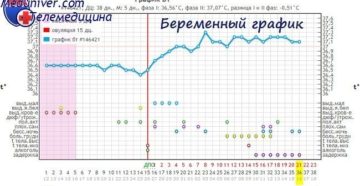 Температура 37 5 беременность 37 недель