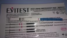 Покажет ли тест на беременность на 12 день после зачатия