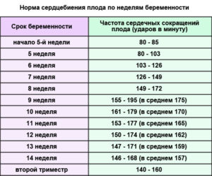 Чсс плода 21 неделя