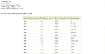 Вес плода 27 неделя беременности