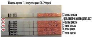 Овуляция на 26 день цикла возможна ли беременность