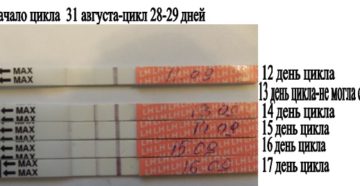 Овуляция на 26 день цикла возможна ли беременность