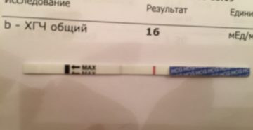 Может ли тест не показать беременность а хгч показать