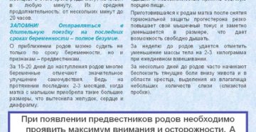 Отошла пробка когда начнутся роды вторая беременность 40 недель