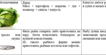 Когда можно вводить белокочанную капусту в прикорм