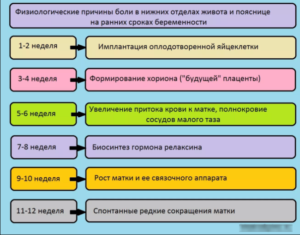 Тянет Низ Живота На Начальных Сроках Беременности