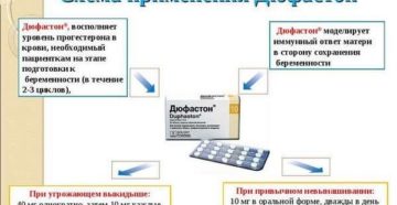Дюфастон при планировании беременности отзывы с 14 по 25 день цикла