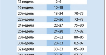 Окружность живота 24 недели беременности