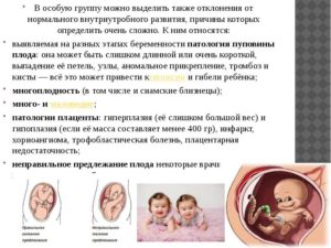 Патологии плода при беременности причины