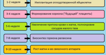 Горит Низ Живота На Ранних Сроках Беременности