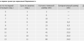 3 мм плод какой срок