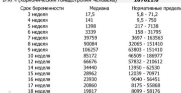 Как растет хгч на 6 неделе беременности