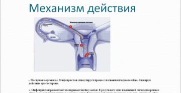 Через сколько начинает действовать мифепристон при стимуляции родов