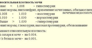 Плотность мочи повышена при беременности