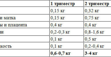 Вес матки и околоплодных вод по неделям