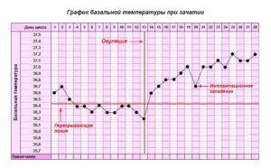 Может ли быть температура тела при зачатии