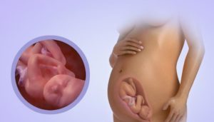 30 Неделя беременности видео малыша