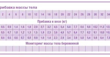 24 Неделя беременности прибавка весе норма