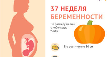37 неделя беременности вес ребенка