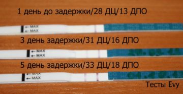 Покажет ли тест на 2 день задержки