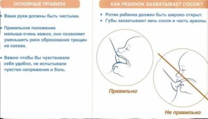 До какого возраста нужно кормить ребенка грудным молоком комаровский читать