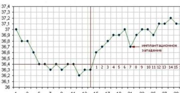 Беременность на 7 день цикла при 28 дневном цикле