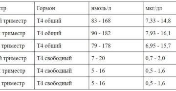 Т4 Свободный При Беременности 2 Триместр Норма