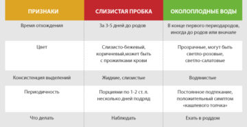 Слизистая пробка когда формируется при беременности