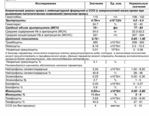 Повышены Эритроциты В Крови У Ребенка Форум