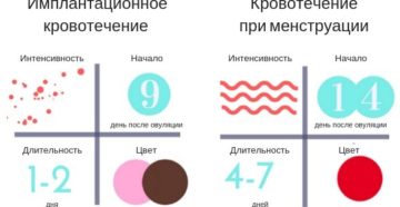 Имплантационное кровотечение на какой день после переноса 5 дневок