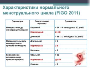 Сколько проходит дней между месячными