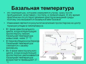 Какая Температура В Прямой Кишке При Беременности