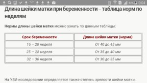 Длина шейки матки норма в 37 недель