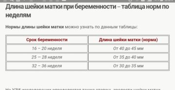 Длина шейки матки норма в 37 недель