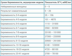 Если нет беременности сколько хгч