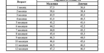 Норма Окружность Головы В 6 Месяцев Таблица