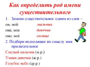 Как понять род. Как определяется род имен существительных. Как различить род имен существительных. Как определить род существительного. Как определить род имени существительного.