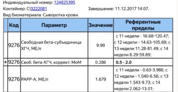 Свободная бета субъединица хгч норма в 12 недель