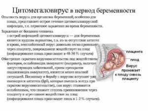 Форум Цитомегаловирус При Беременности Последствия Для Плода