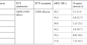 Хгч и афп при беременности норма по неделям таблица