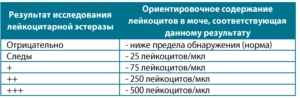 Лейкоцитарная эстераза в моче у женщины что это значит