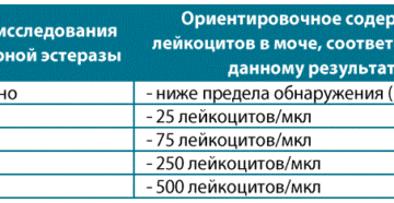 Лейкоцитарная эстераза в моче у женщины что это значит