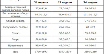 Анатомия плода 32 неделе беременности норма