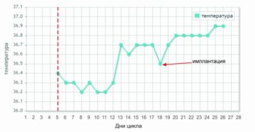 Базальная температура на 7 неделе беременности