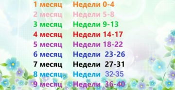 32 33 недели беременности это сколько месяцев